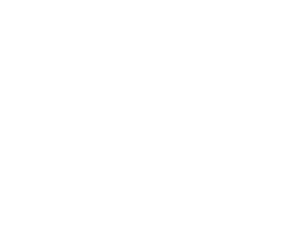 Friends of the project
